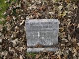 image of grave number 199339